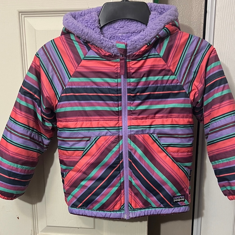 Patagonia Multicolor Striped Hooded Jacket